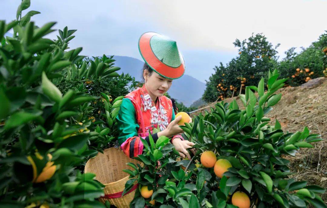 【哀牢回响】戛洒山水课--包倬_社区_槟榔园_摄影