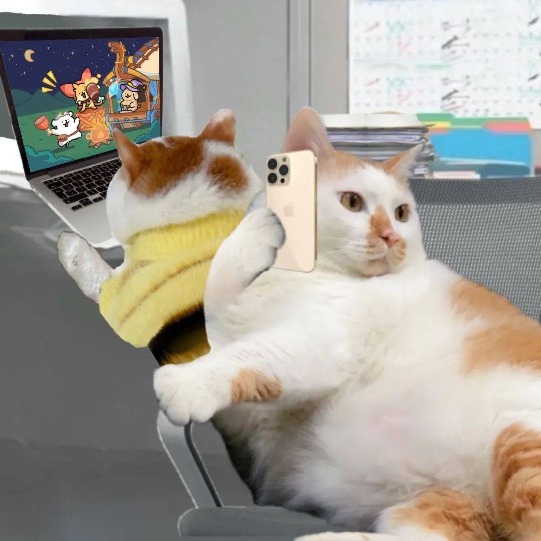 头像 | 一眼就惊艳的微信头像