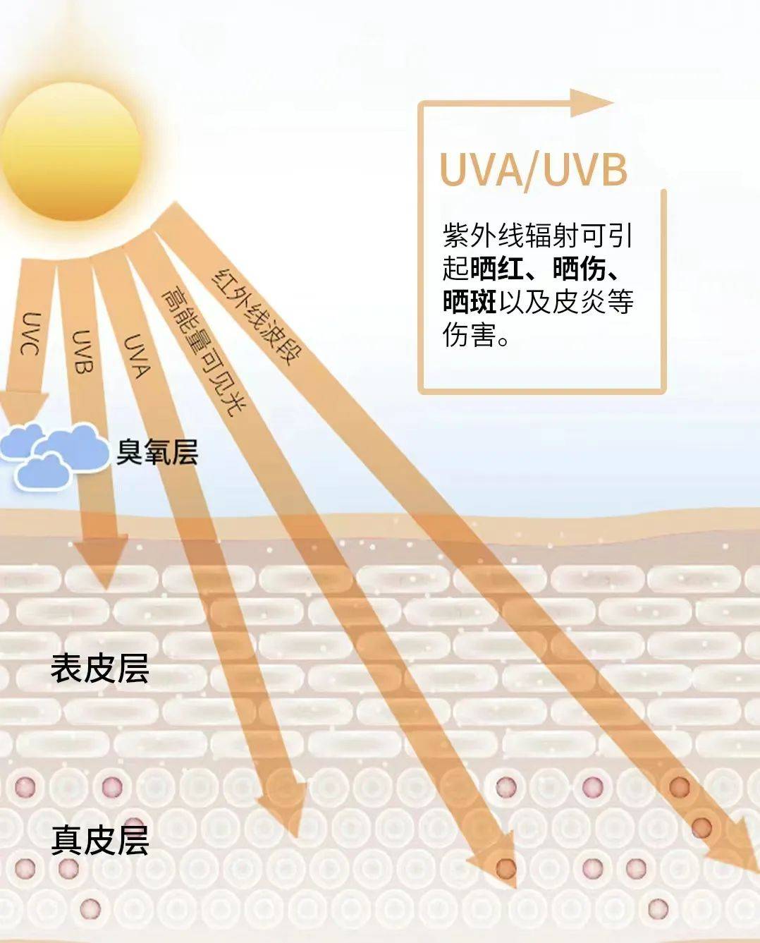 我们团队对比了几十家的防晒衣,在考虑防晒力度,体感,质地和设计的