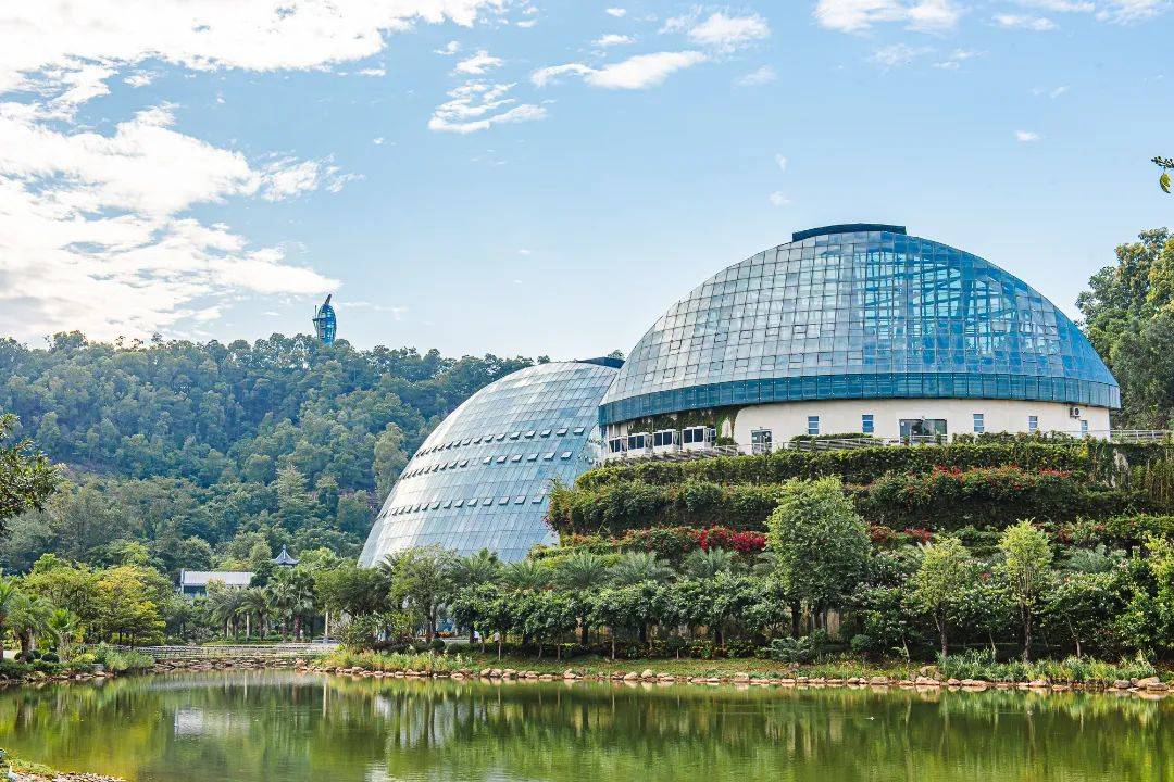 惠州市植物园总占地约1000亩,拥有包括生态园,精品园,休闲园,景观园
