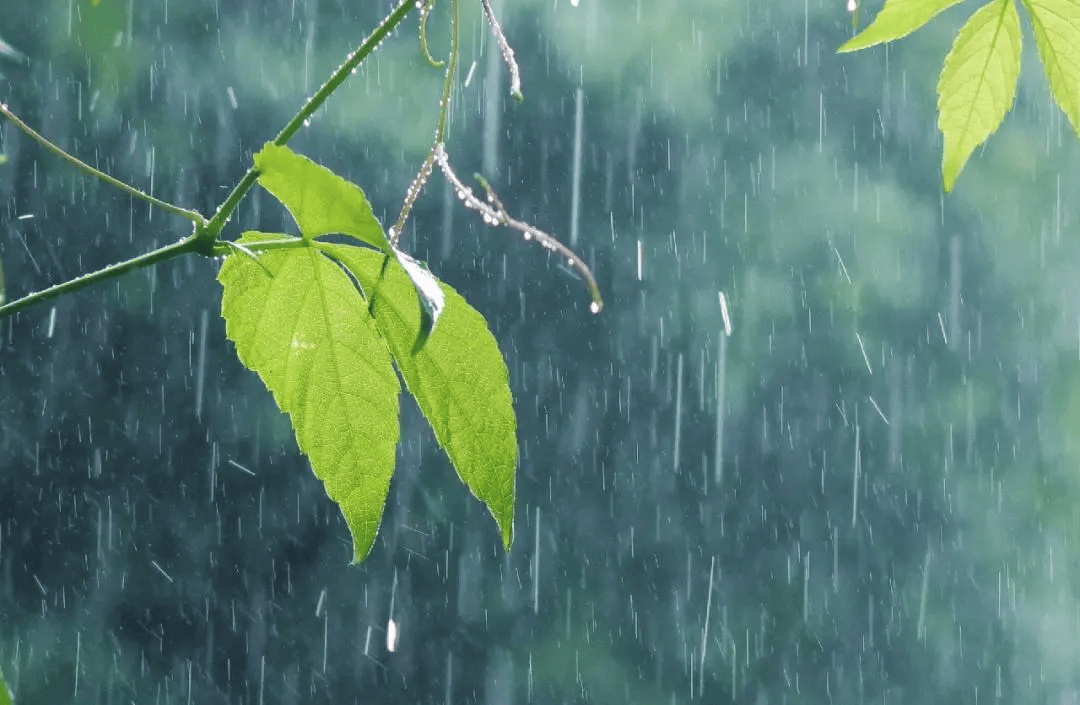 本周有两次明显降水过程,注意→_天气_晴到多云_阵雨