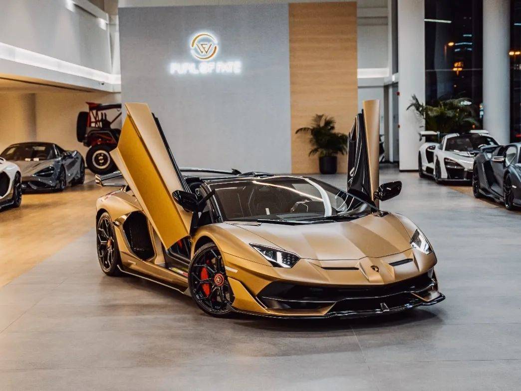 都来迪拜了还不任性一把?