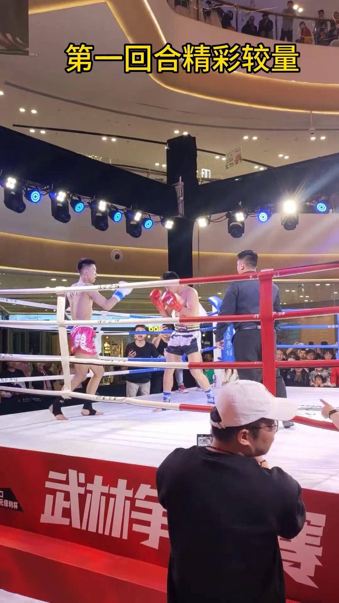 传统武术自由搏击和拳击（自由搏击和拳击有什么区别）《自由搏击与拳击》
