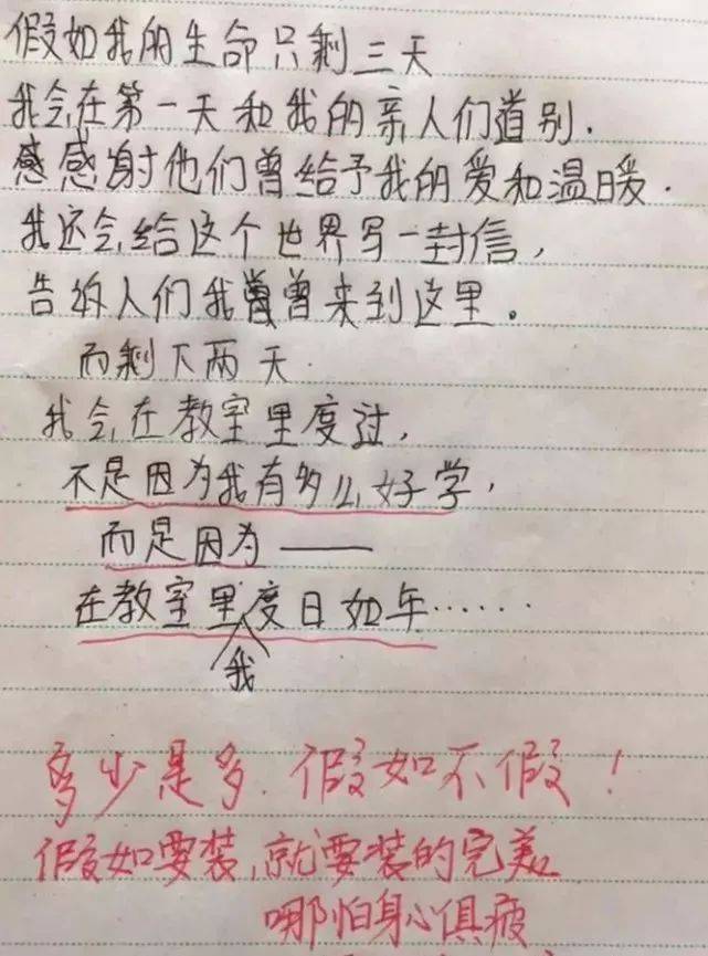 小学生写作文火了 气坏全家