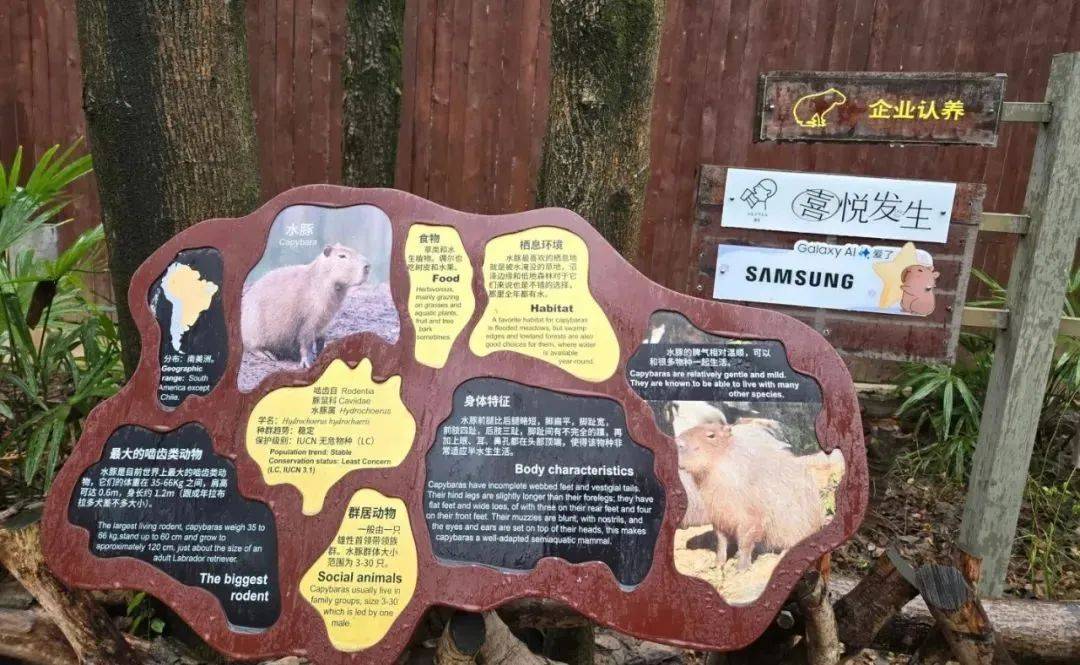 家门口的公园,怎么就成了"营销圣地"?