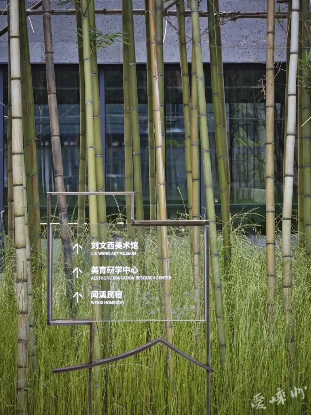 【富乐嵊州 越来越好】碧水长乐水竹村 文西故居展风采