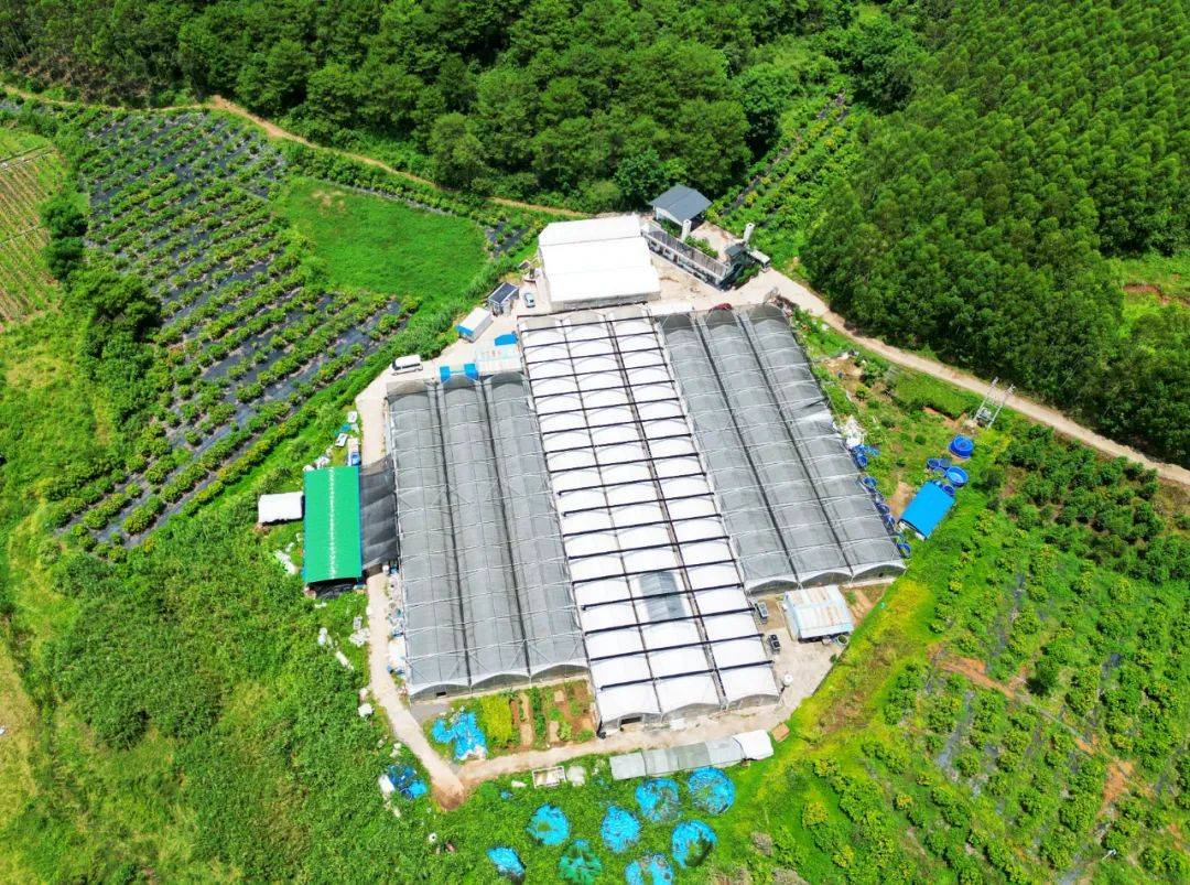 青秀区:让乡村"放开手脚" 让农业焕发新活力