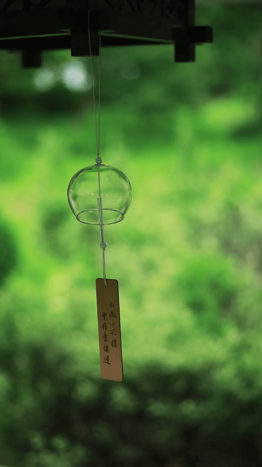 视频美食拍手机怎么拍_手机美食视频怎么拍_手机拍美食视频的基本步骤