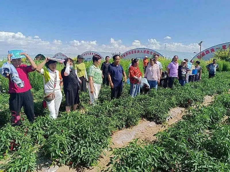 记宁夏平罗县高仁乐海山西瓜专业合作社农民田间学校