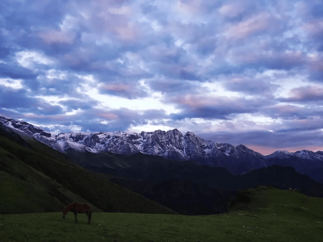9 沐浴花海,漫步云端,茂县九顶山徒步露营两日游
