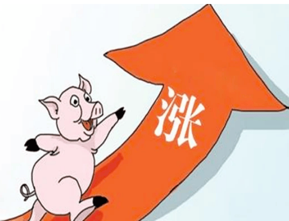端午前,猪价将以"易涨难跌"为主?