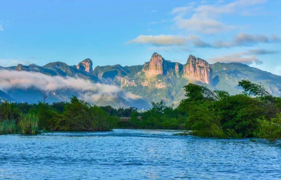 仙居杨梅季丨6月11-15号,浙江雁荡山,仙居,温岭,台州落地自驾之旅