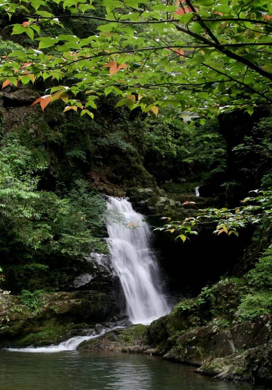 井冈山旅游推介会走进贵阳,两地旅行商共谋发展_革命_线路_景区