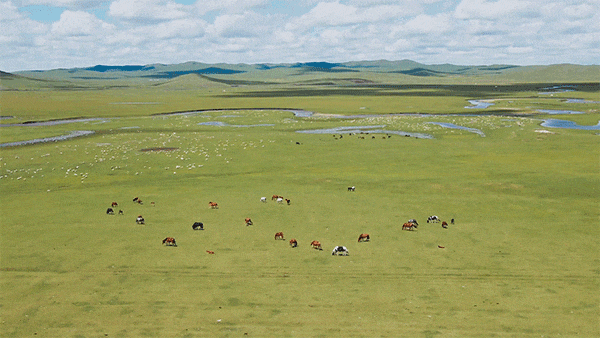 群群牛羊,点点毡房,袅袅炊烟,纵马驰骋,穿越世界上最美丽的草原和森林