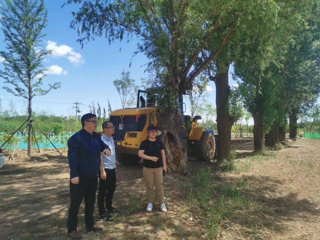 6月1日,区园林绿化局副局长郭启志带队对温榆河公园顺义二期蓄滞洪区