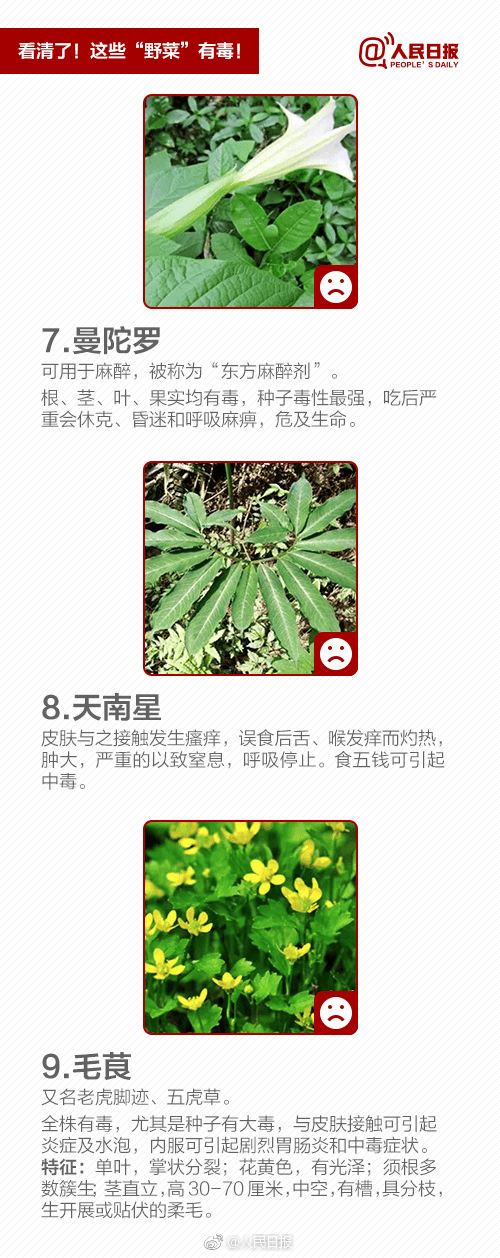 "夫妻俩吃完,双双中毒!