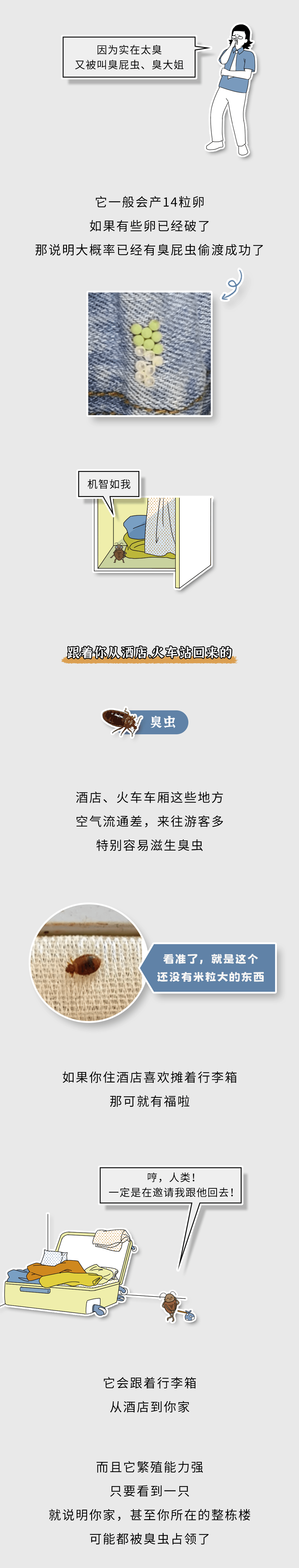 家里这些虫子都哪儿来的?如何消灭它们?