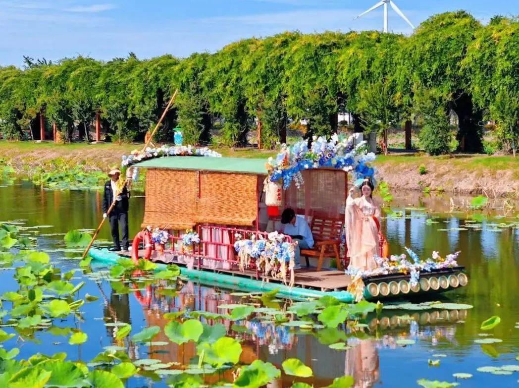 金湖荷花荡:no!no!no!今年和往年不一样哦~_赏荷_文化_景区