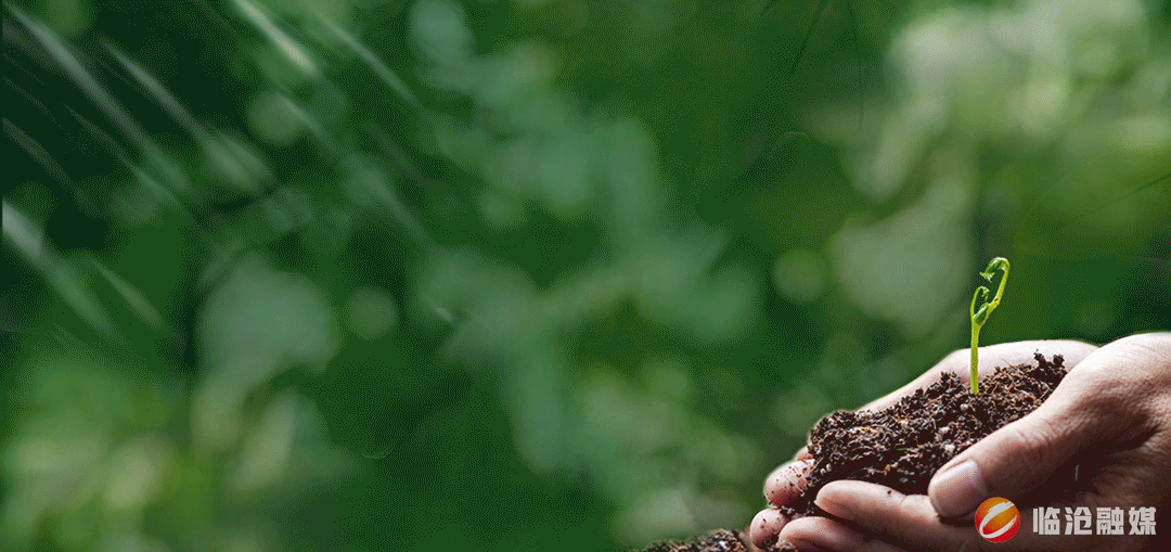 com终审:彭萍审核:杨晶晶编 辑:杨 雁 陈灿坚通讯员:赵怡涵李林森金融