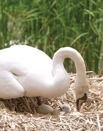 重要提醒/安阳警方通报"男子持刀将女子刺伤致死"/牛肉价格大跳水)