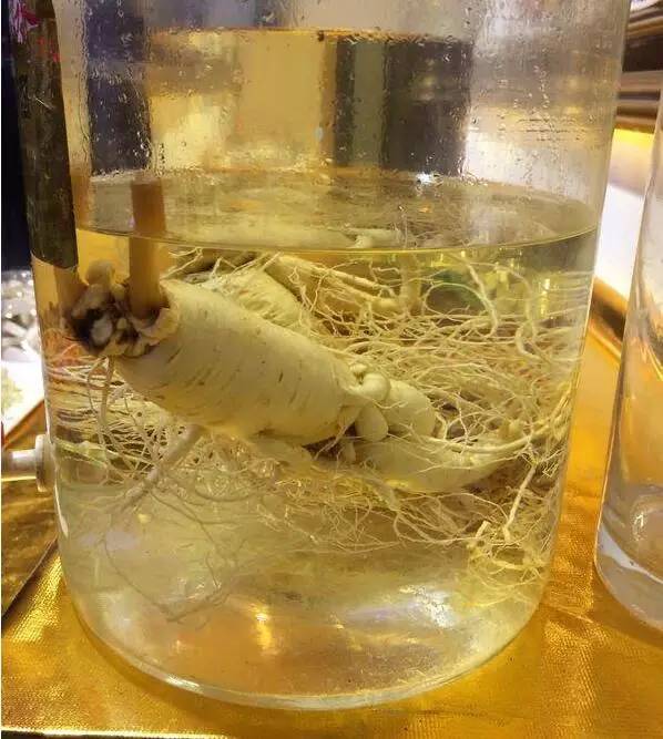 客家蕉岭人的"浸酒",你喝过吗?