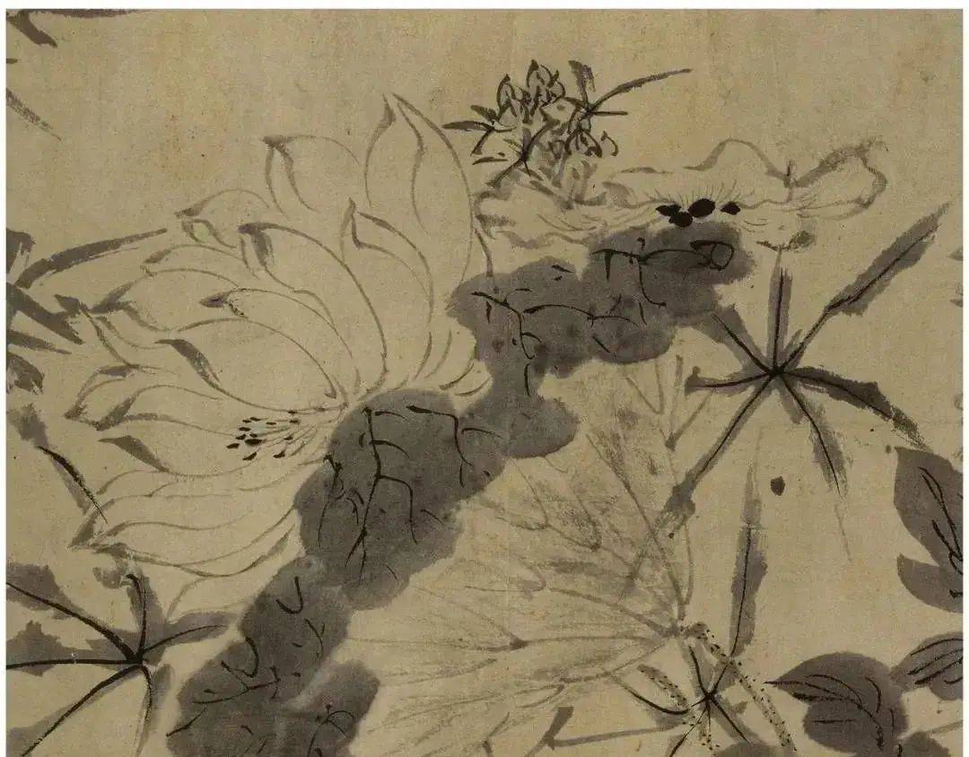 白阳青藤:开辟了文人写意花鸟画的新天地