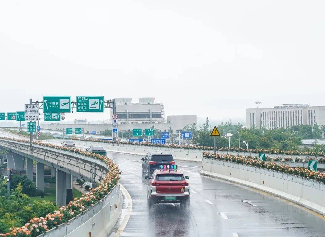 温州城市颜值再提升 拉满初夏氛围感