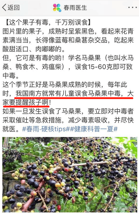 提醒!这种"桑葚"不要买!从化人赶紧看!