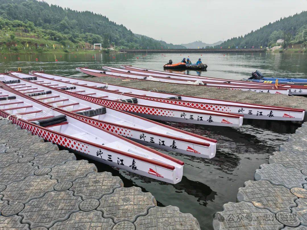 明天上午8点,到忠县磨子湖观看首届长江三峡龙舟邀请赛