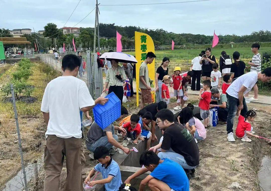 基层风采丨各镇(街道)团(工)委开展"六一"活动回顾合辑