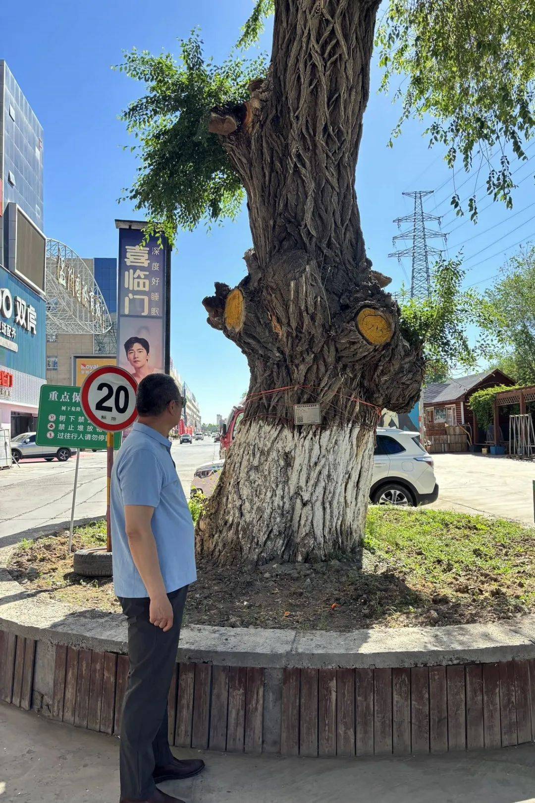 🌸河北日报【澳门今晚必中一肖一码准确9995】_扮靓桥下空间 城市边角地变身“艺术角”