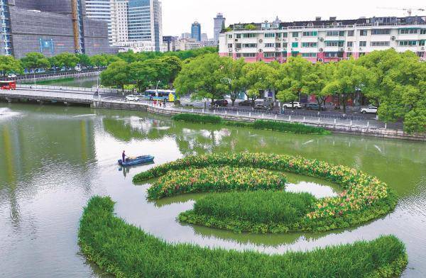 生态浮岛 扮靓河道