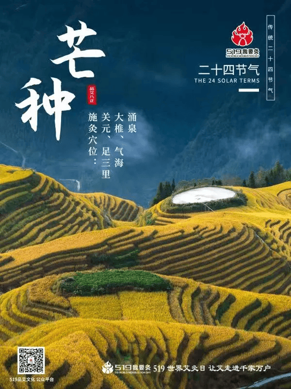 519我要灸||二十四节气之 芒种 祛湿健脾扶阳养生