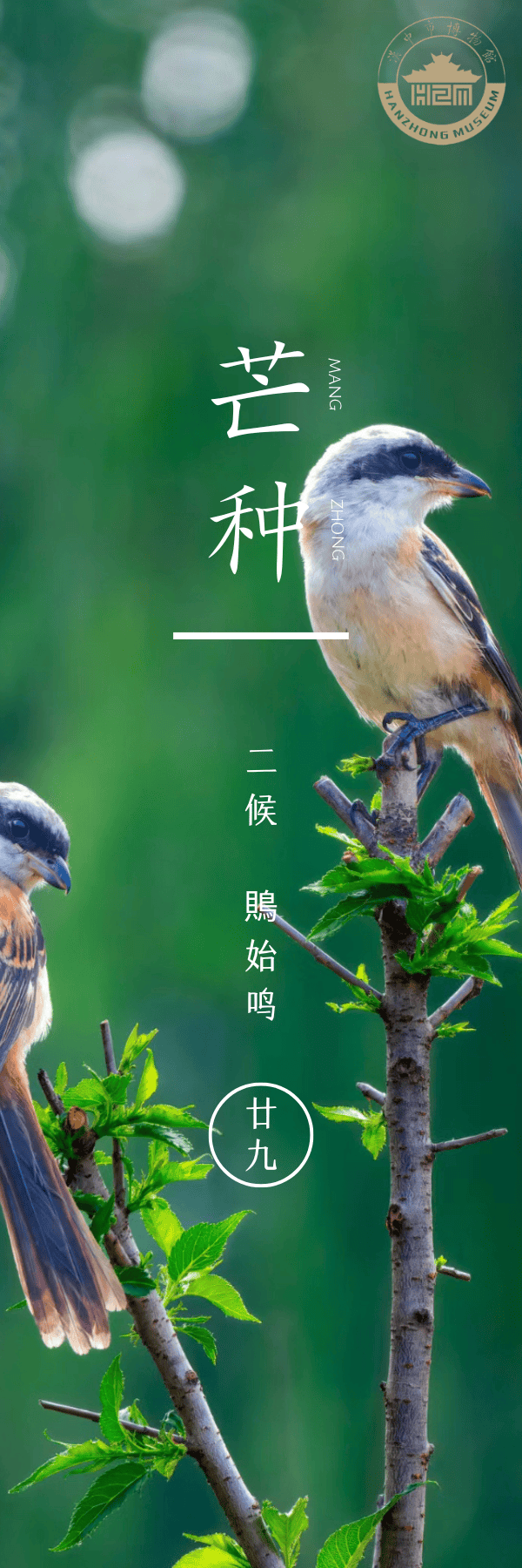 硬笔书法教程