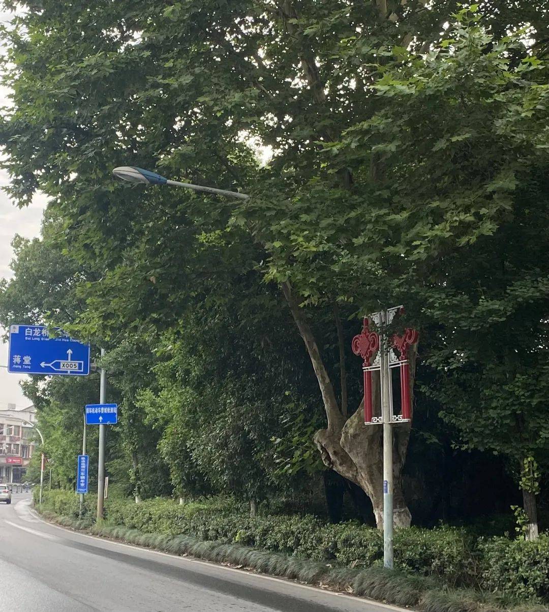 在路灯杆的号码标识牌上写着报修电话,负责单位是金华路灯管理所.