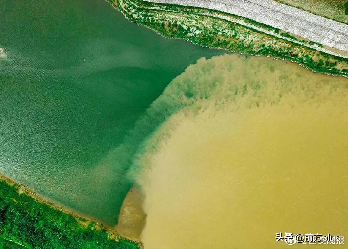 6月4日,在西安市高陵区渭河,泾河交汇处,浑浊的渭河与青蓝的泾河轻盈