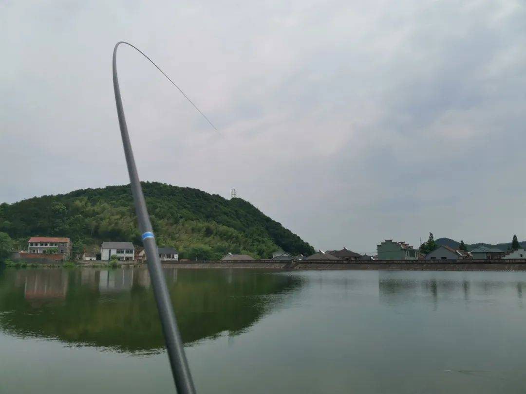 野钓鳊鱼的实用技巧,掌握以后你就是河边最靓的仔!