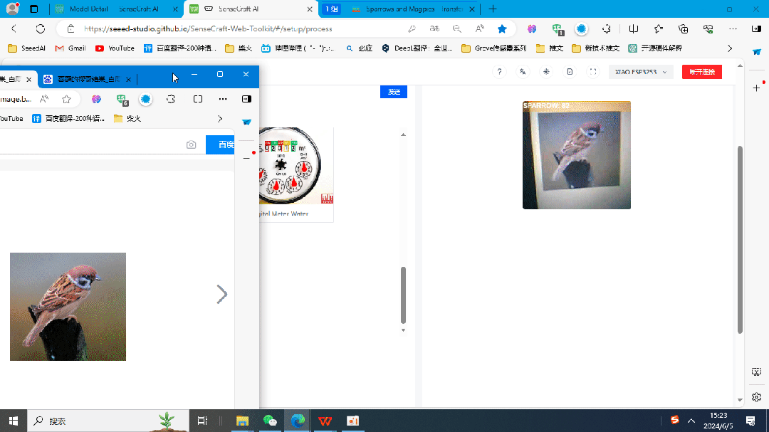 模型案例:| 鸟类识别模型!