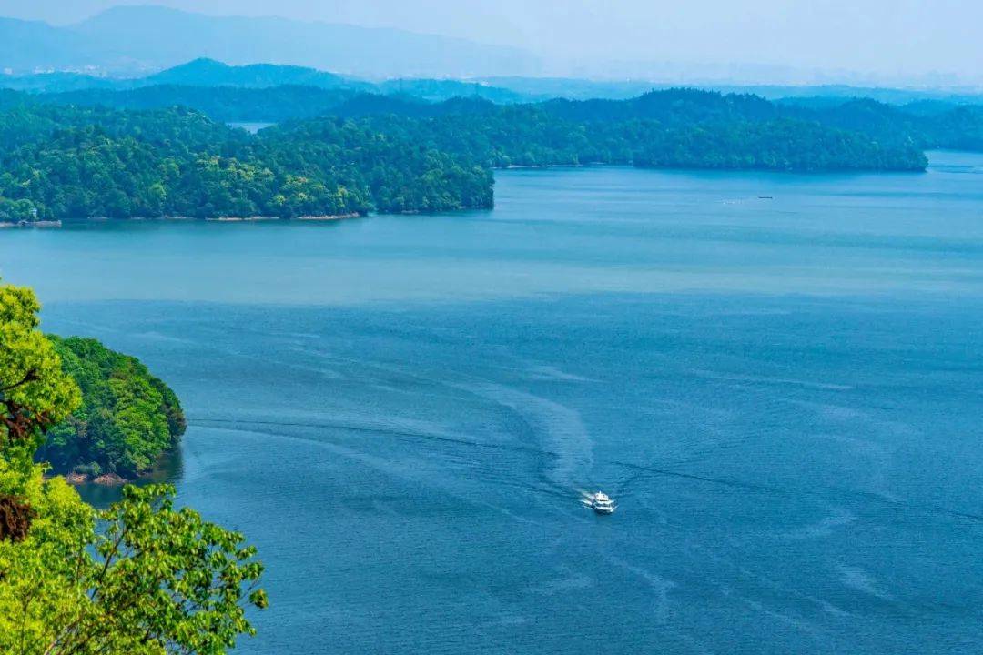 准考证_高考_门票