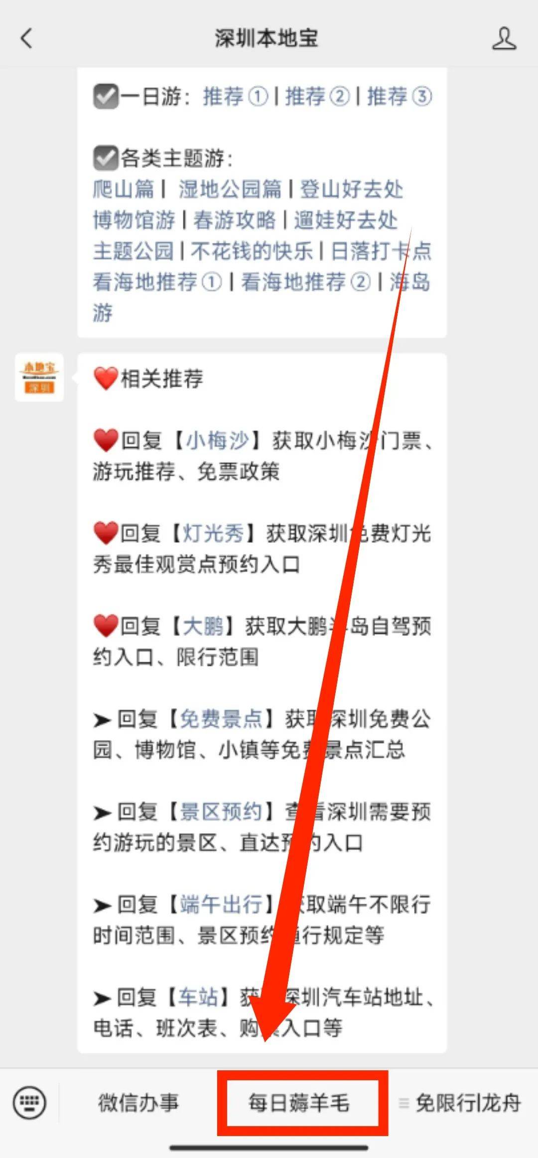 2024深圳海上田园龙舟赛!附端午活动