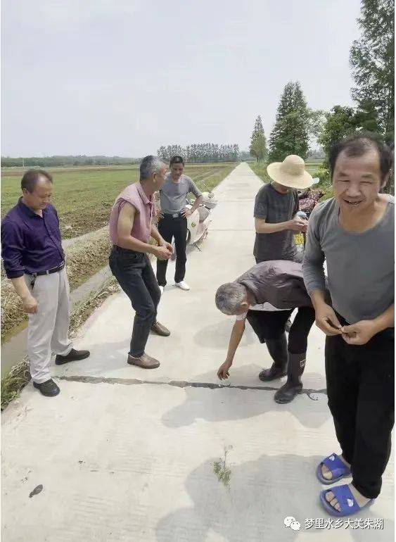 望着一片片面积30亩左右,平整宽阔的农田,村民陈喜华满意地说,"小田改