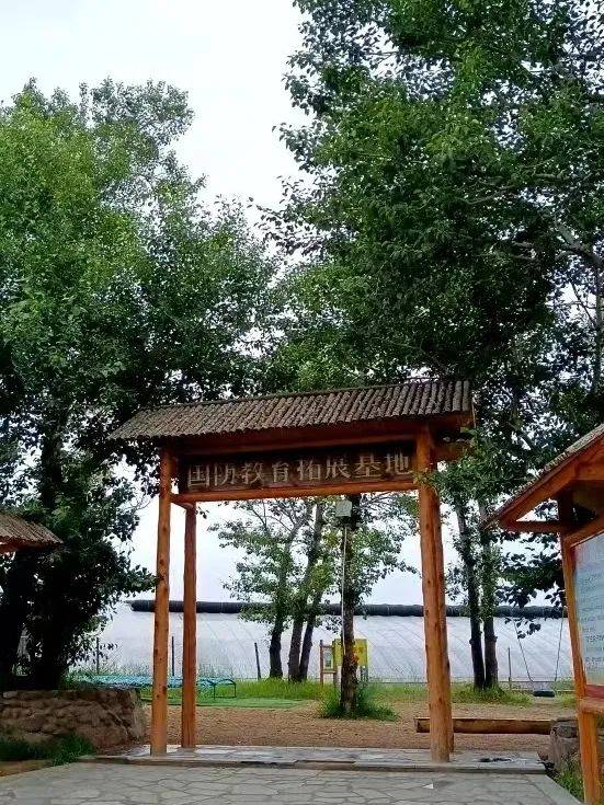 研学活动招募|2024年"爱自然·慧生活"主题夏令营 小暑营队