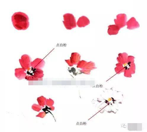 写意花鸟画色彩技法详解,写意花鸟用色技法基础