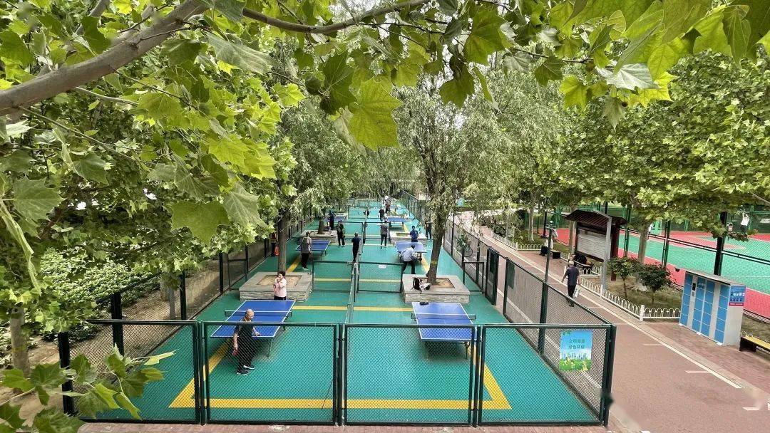 "石马,庄超"等举办体育赛事,完善健身设施——石家庄持续打造热情活力