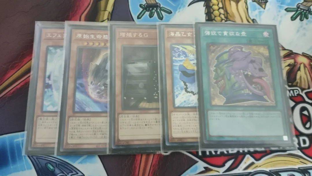 [杂谈]other卡组的生存之道