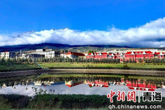 青海祁连生态治理有"新招"山清水秀入"画"来