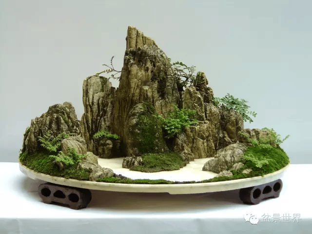 中国山水,大气!_cm_作品_盆景