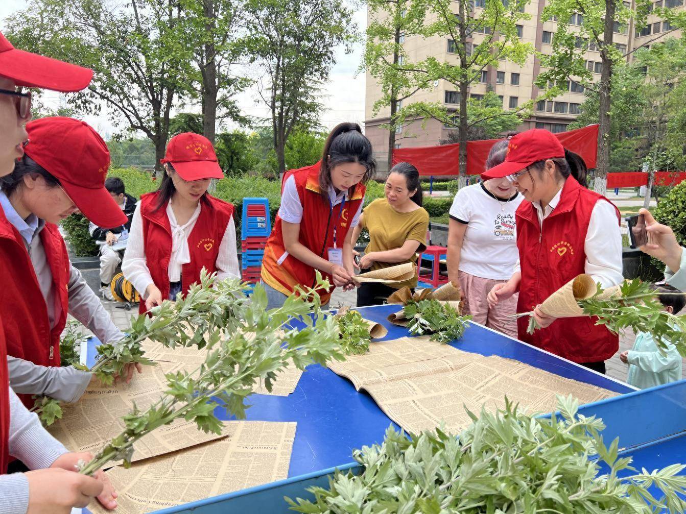 🌸【新澳彩资料免费资料大全】🌸_全民养生热潮持续！广东这个城市养生企业最多