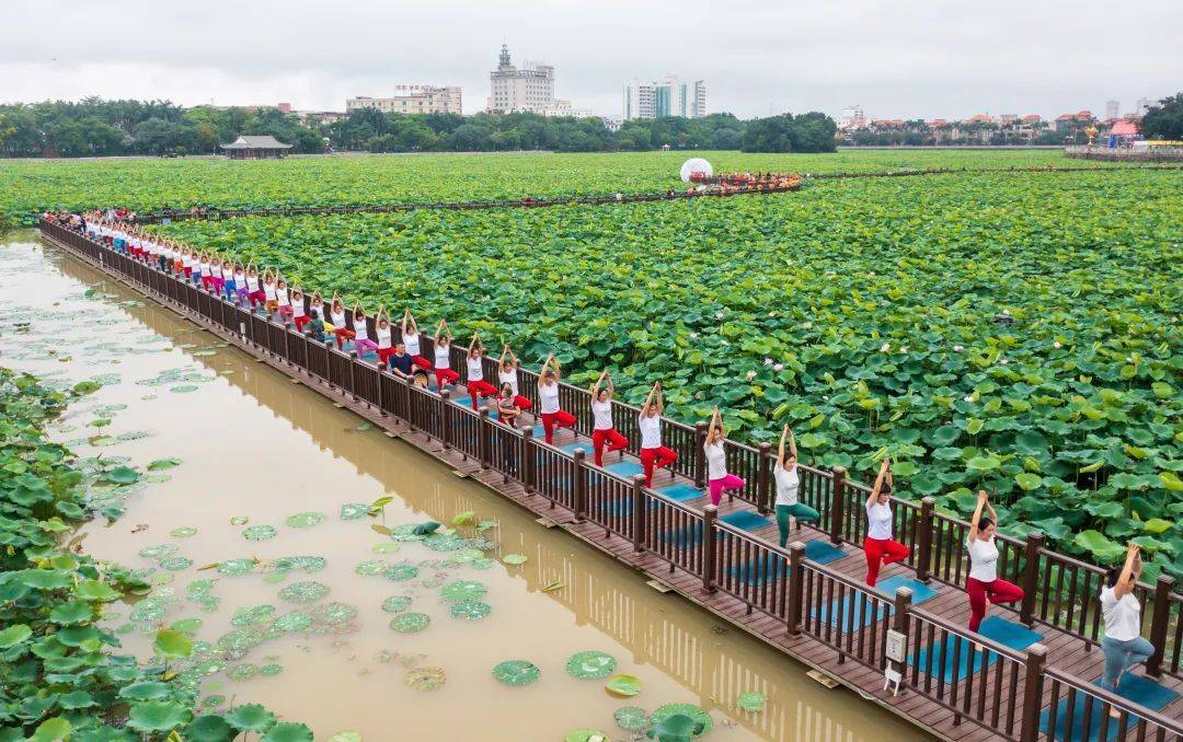 "潮向桥头,玩gou一夏"!第二十一届东莞桥头荷花节启动