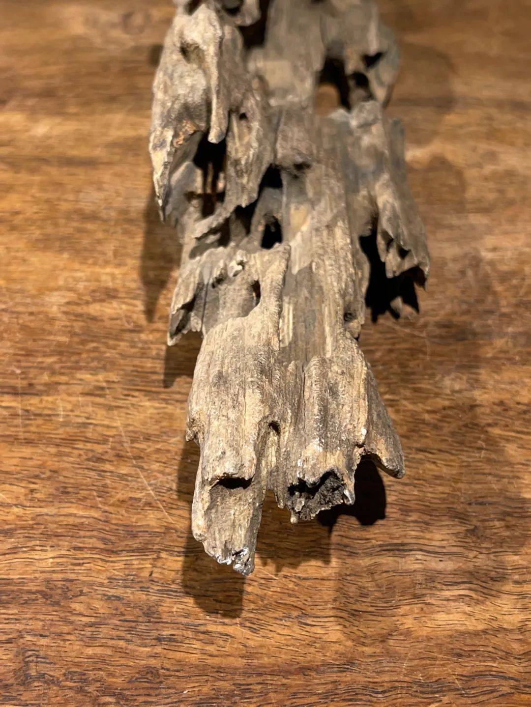 用之美—朴实材质的升华 ▎天然奇石状朽木案头摆件_大自然_硬木